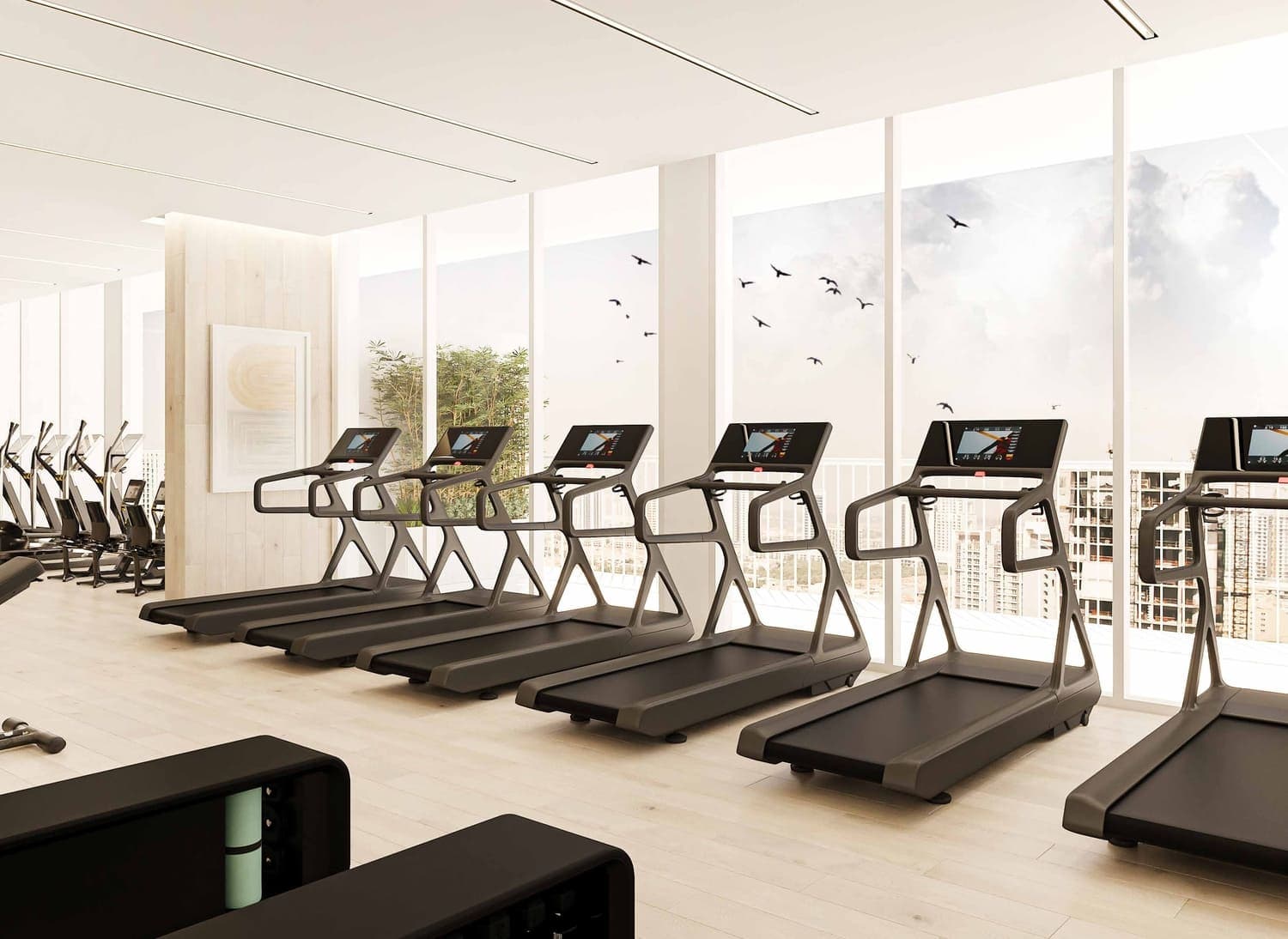 Modern Gym