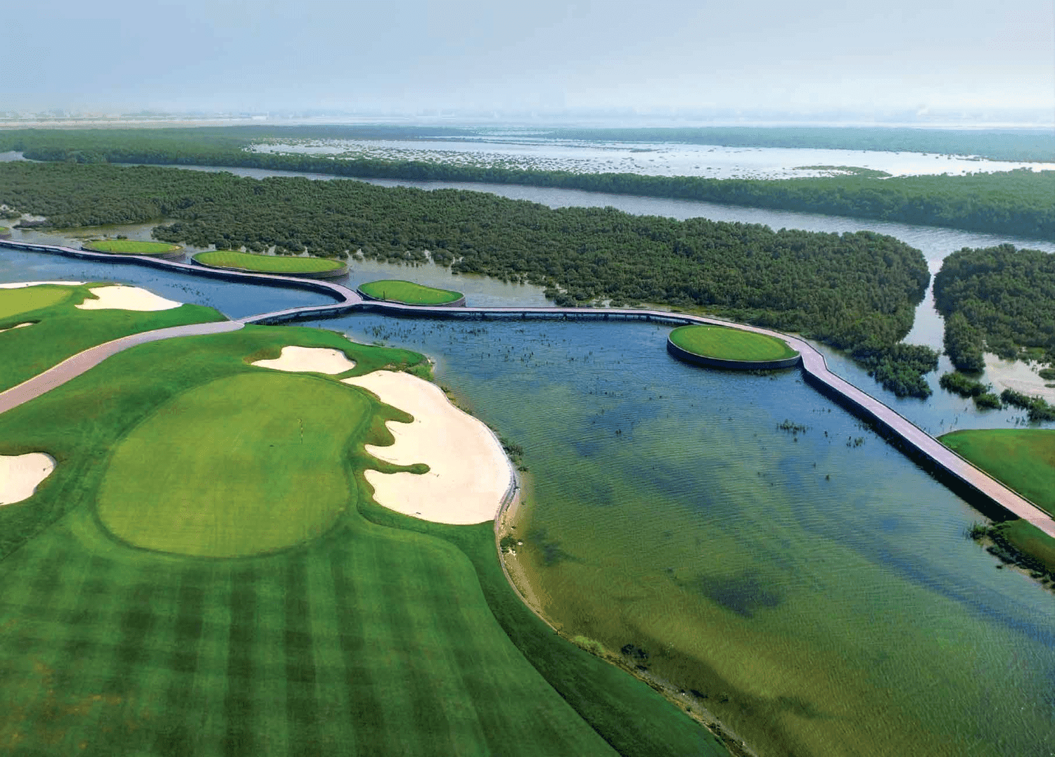  Natural Mangrove Forest 