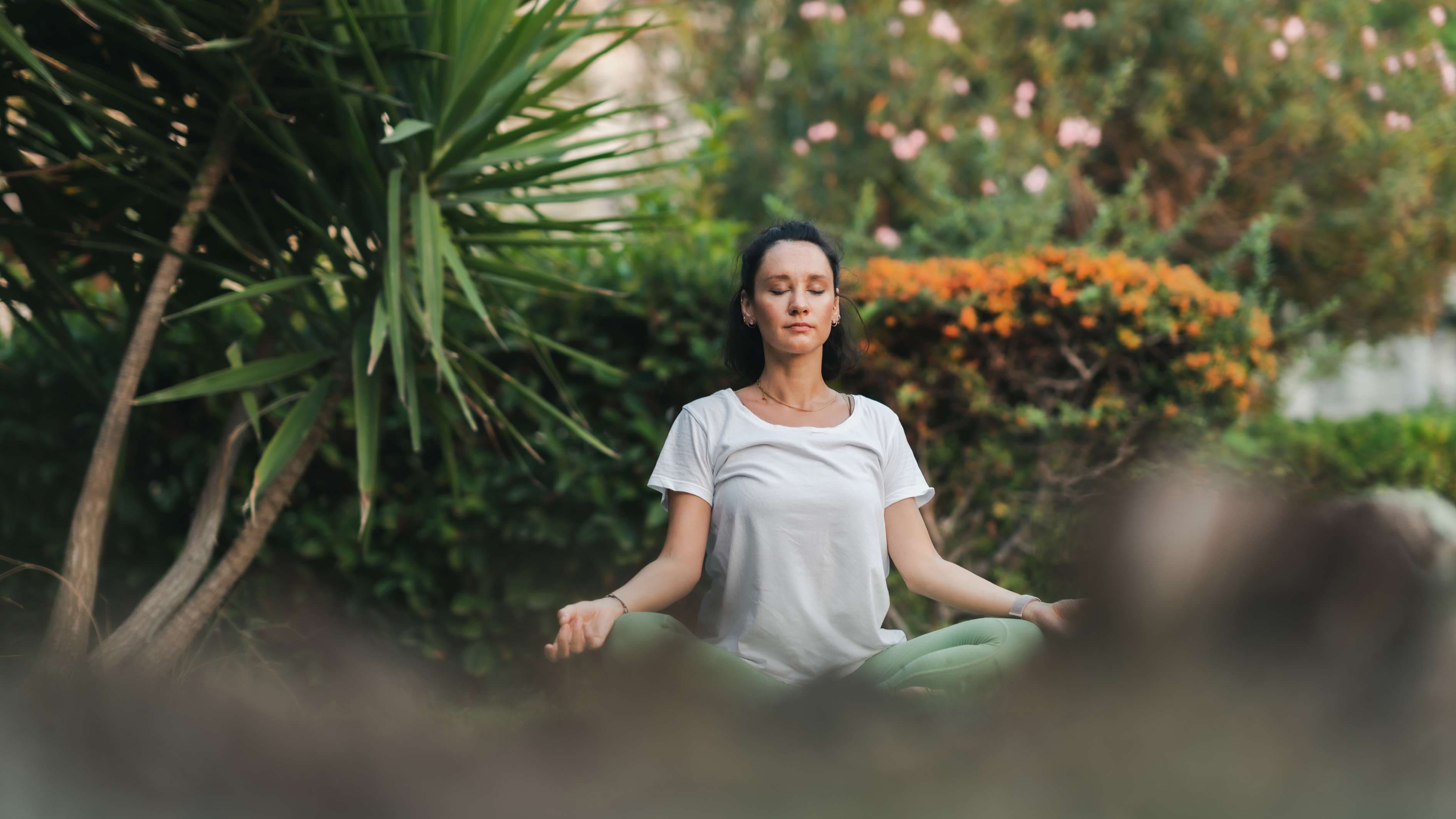 Meditation garden