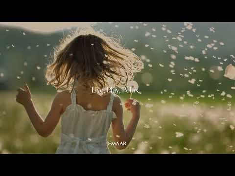 Project Video