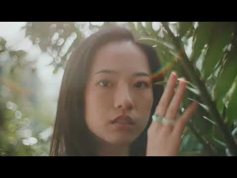 Project Video