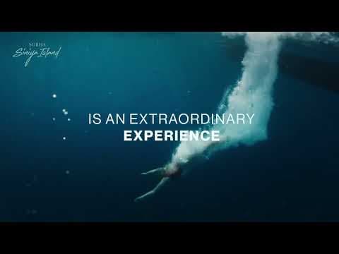 Project Video