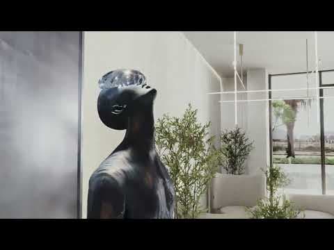 Project Video