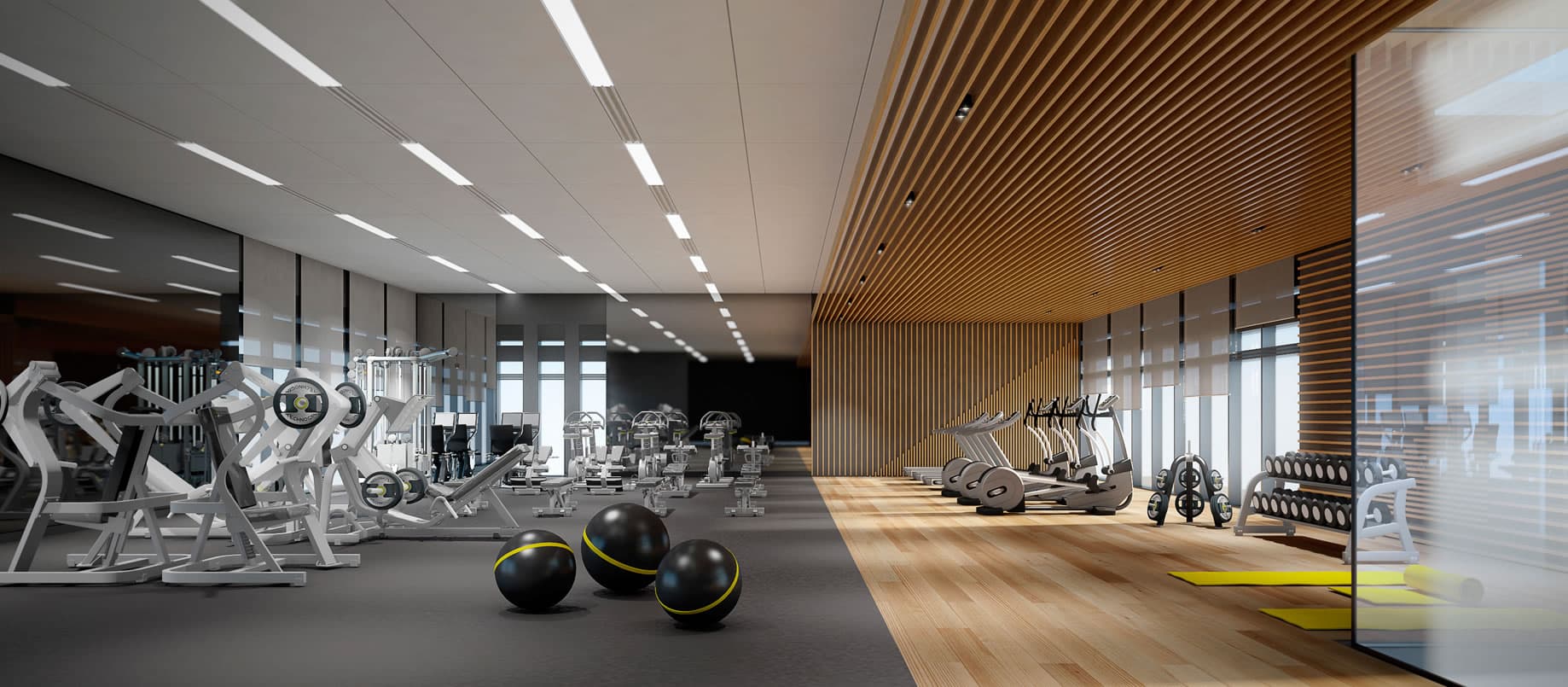 Two State-Of-The-Art Gymnasiums
