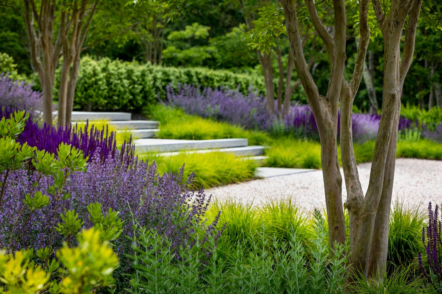 Lush, Landscaped Gardens