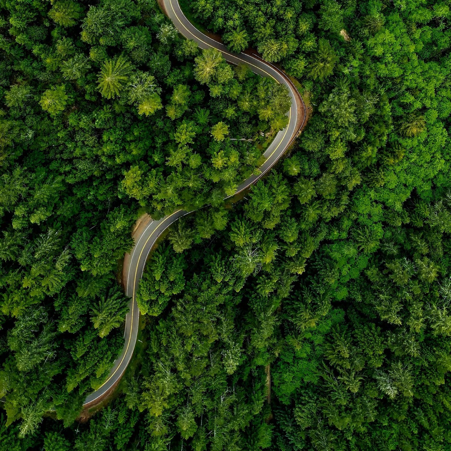 Running & Cycling Tracks